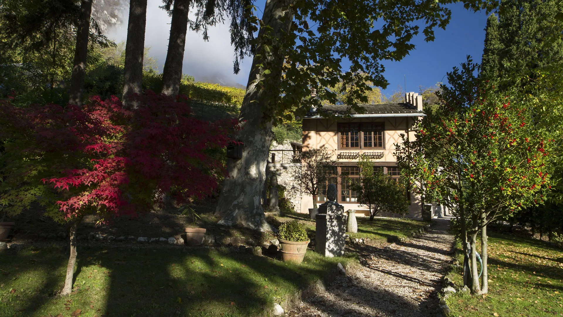 Soggiornare nelle Alpi: 14 Appartamenti e B&B a Confronto