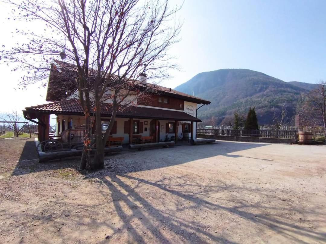 Soggiornare in Trentino-Alto Adige: 14 Agriturismi a Confronto